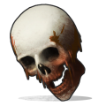 Human Skull icon.png