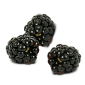 Black Raspberries icon.png