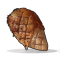 Cooked Chicken icon.png