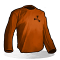 Orange Longsleeve T-Shirt icon.png