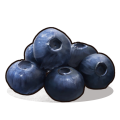 Blueberries icon.png