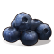 Blueberries icon.png